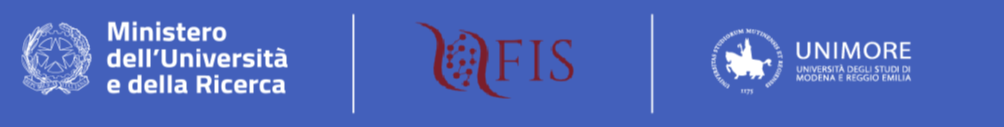 Logo FIS